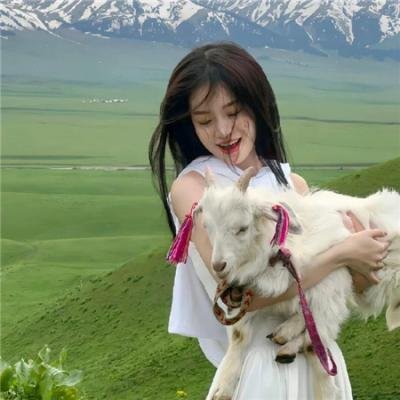 粉红豹2:有恶豹
